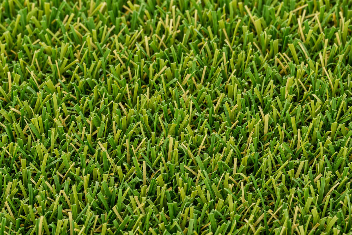 Synthetic lawn turf